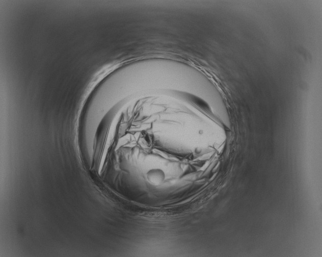 X0000116300104200912291439