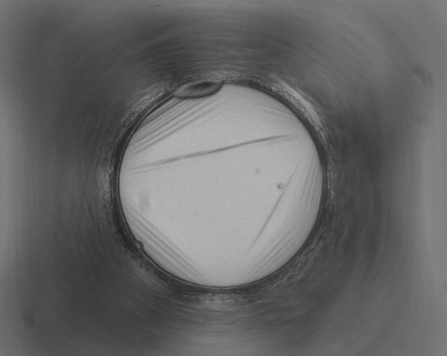 X0000116300105200912291439