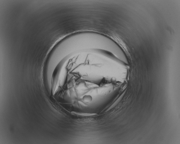 X0000116300108200912291439