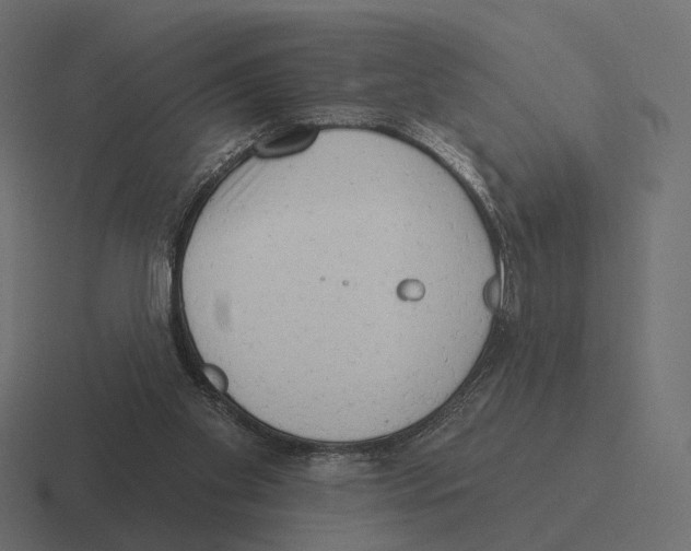 X0000116300109200912291439