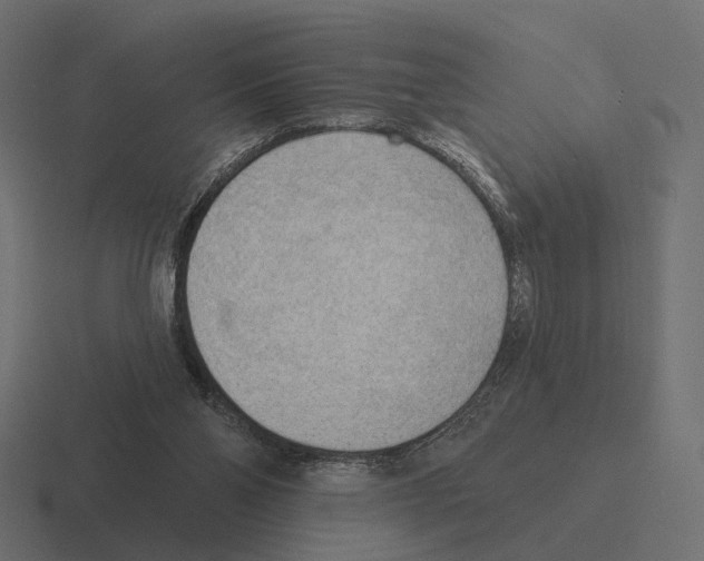 X0000116300110200912291439