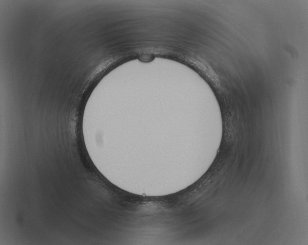 X0000116300111200912291439