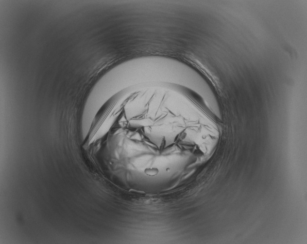 X0000116300117200912291439