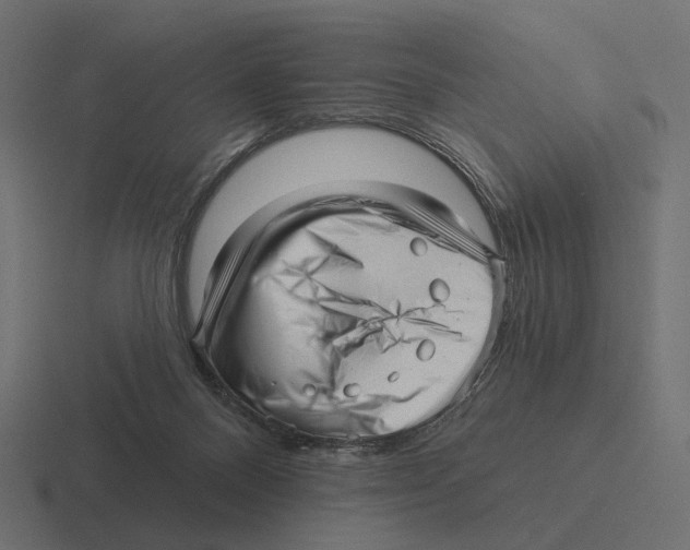 X0000116300120200912291439