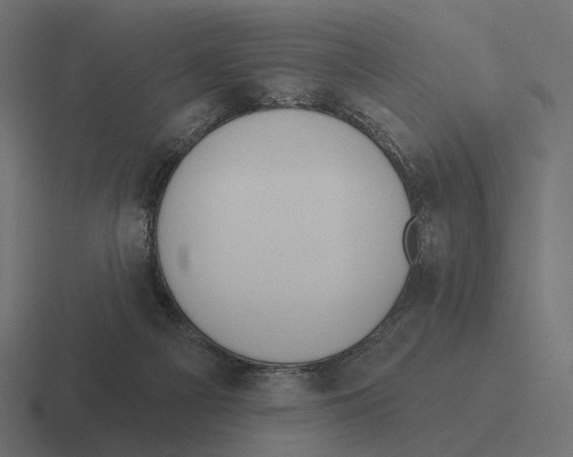 X0000116300121200912291439