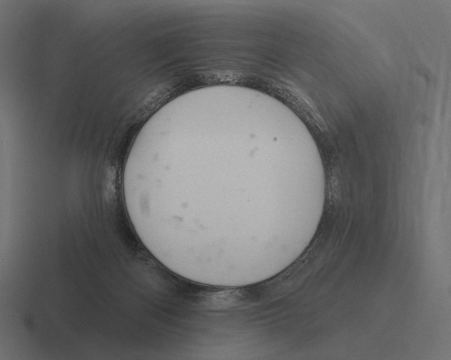 X0000116300122200912291439