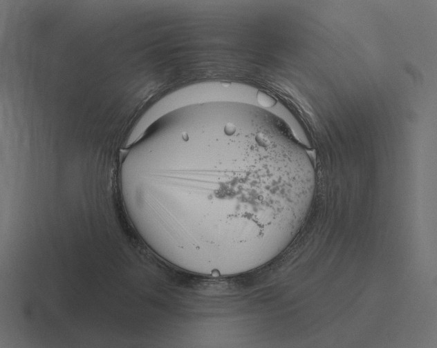 X0000116300123200912291439