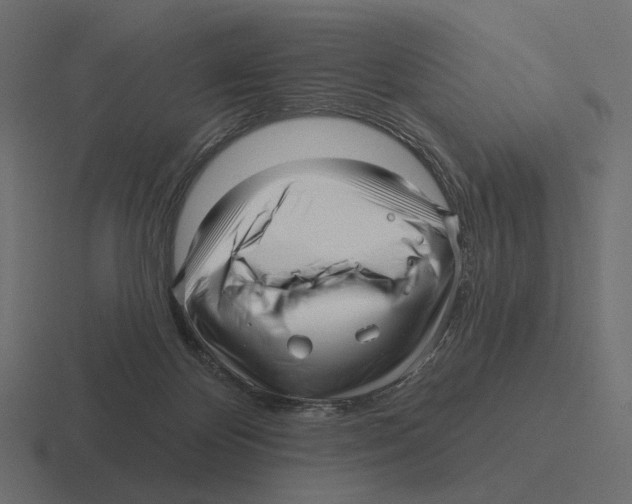 X0000116300124200912291439