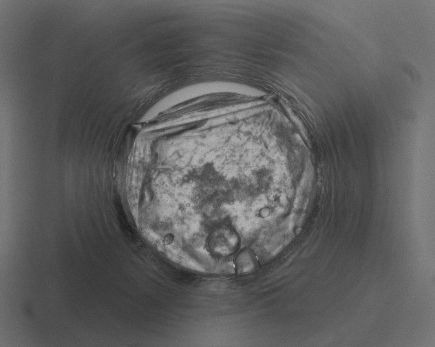 X0000116300127200912291439