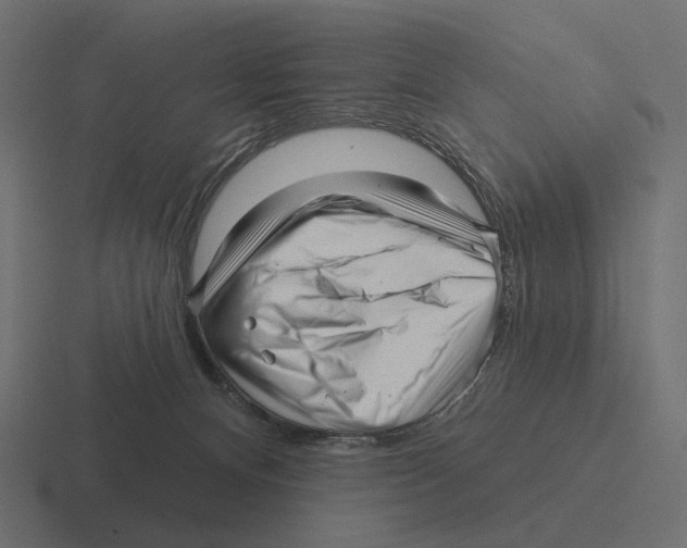 X0000116300128200912291439