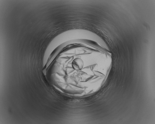 X0000116300129200912291439