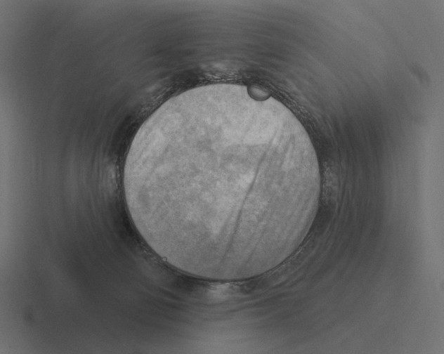 X0000116300130200912291439