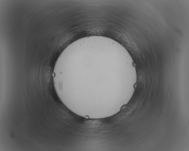 X0000116300133200912291439