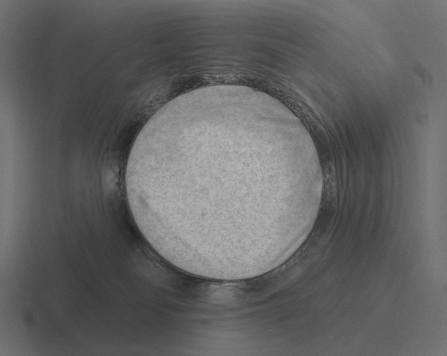 X0000116300134200912291439