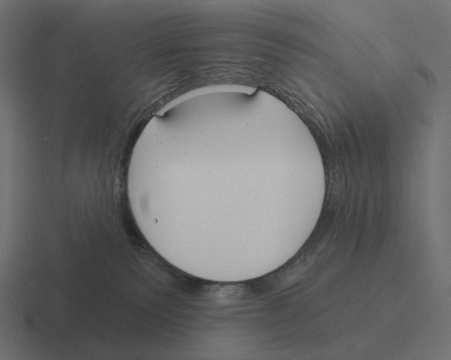 X0000116300135200912291439