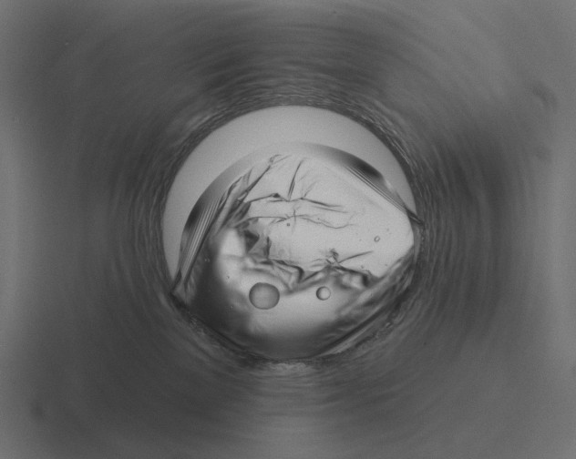 X0000116300137200912291439