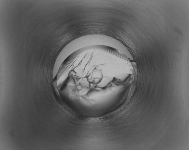 X0000116300141200912291439