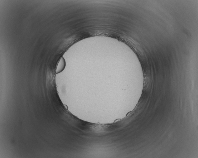 X0000116300142200912291439