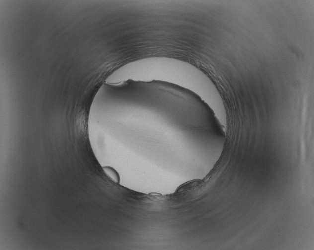 X0000116300143200912291439