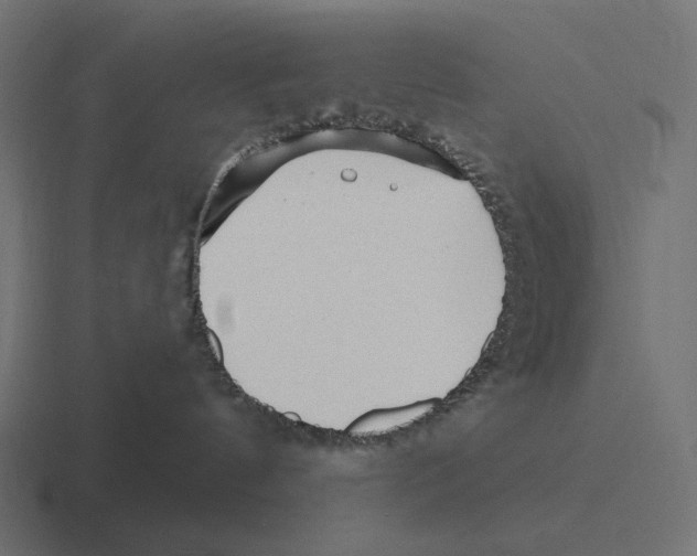 X0000116300144200912291439