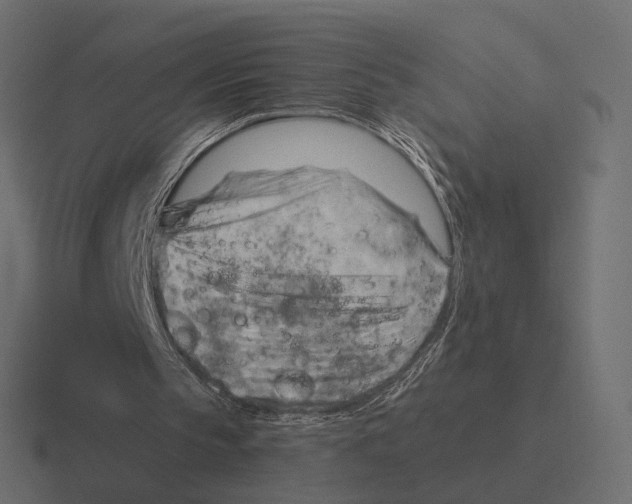 X0000116300145200912291438