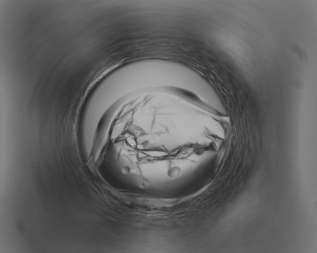 X0000116300146200912291438