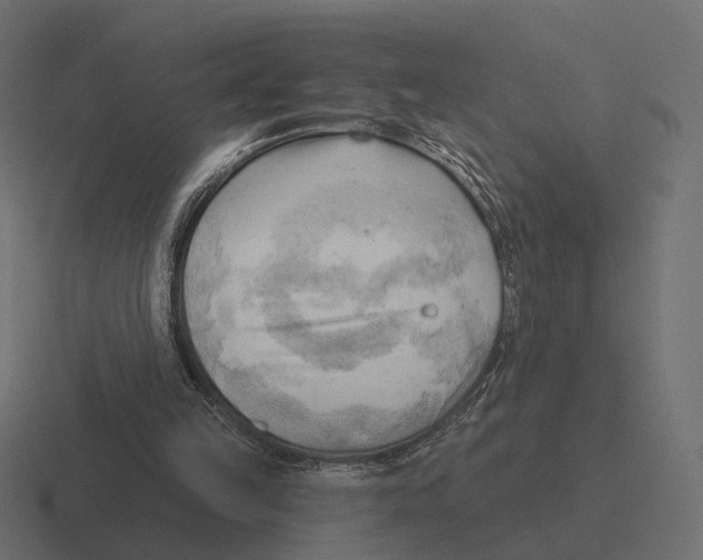 X0000116300149200912291438