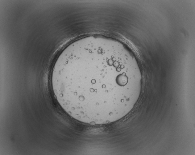 X0000116300155200912291438