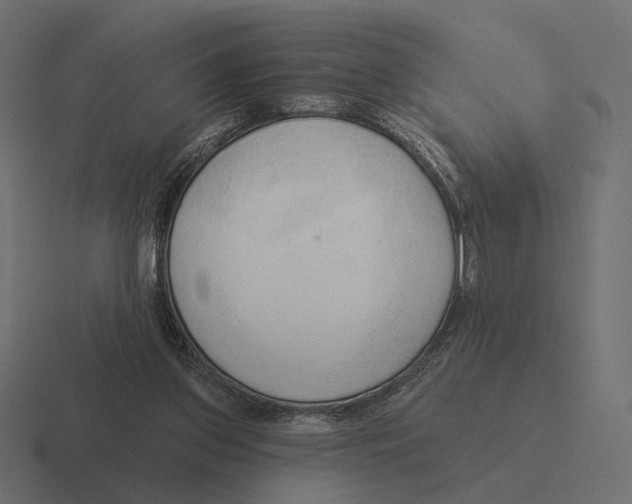 X0000116300157200912291438