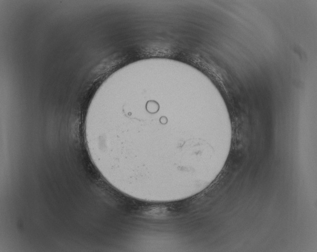 X0000116300162200912291438