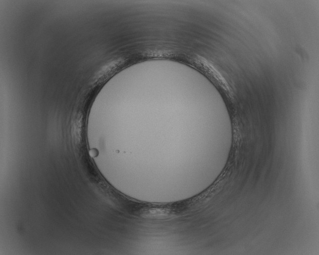 X0000116300163200912291438