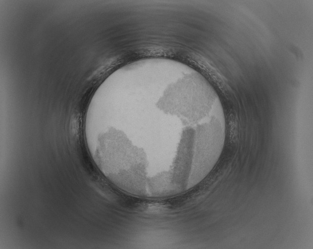 X0000116300165200912291438