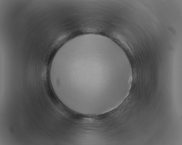 X0000116300167200912291438