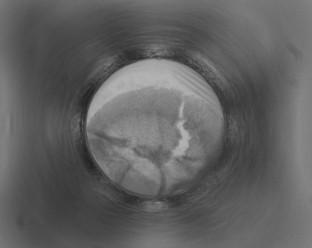 X0000116300169200912291438