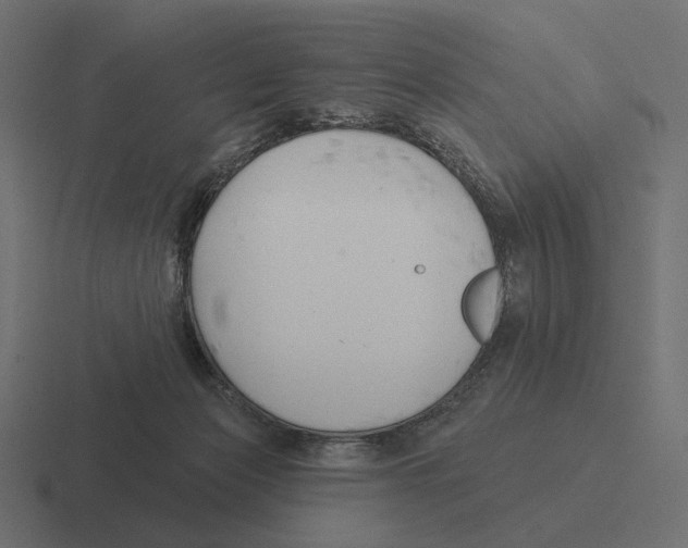 X0000116300173200912291439