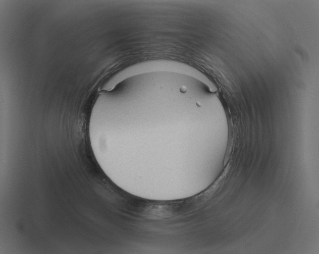 X0000116300174200912291439