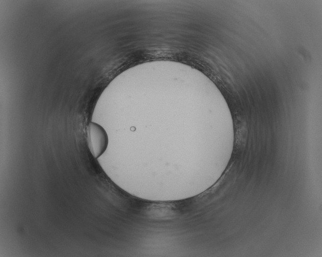 X0000116300179200912291439