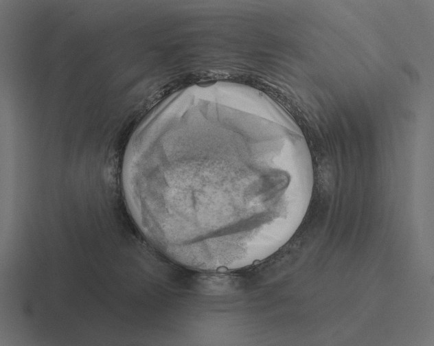 X0000116300181200912291439