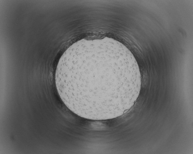 X0000116300183200912291439