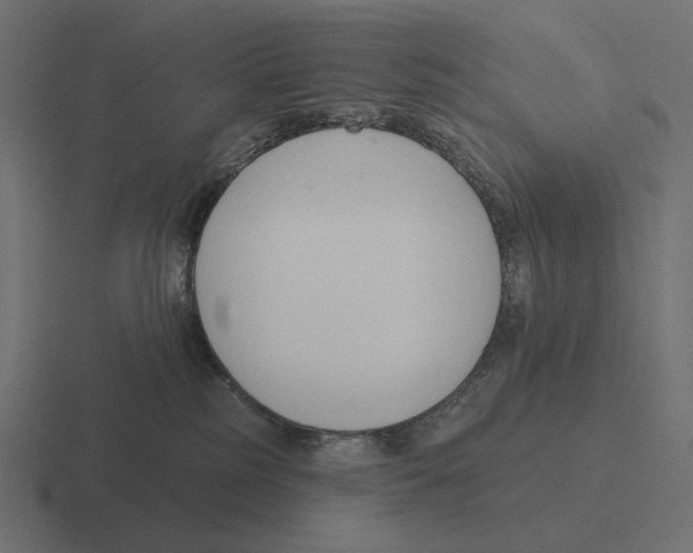 X0000116300185200912291439