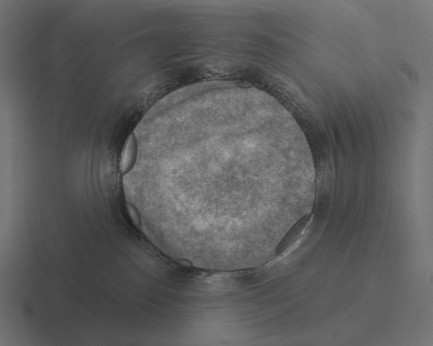 X0000116300186200912291439