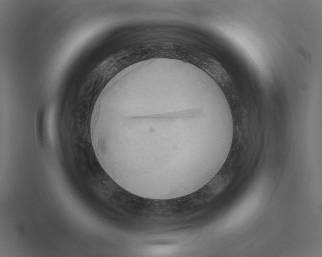 X0000116300189200912291439