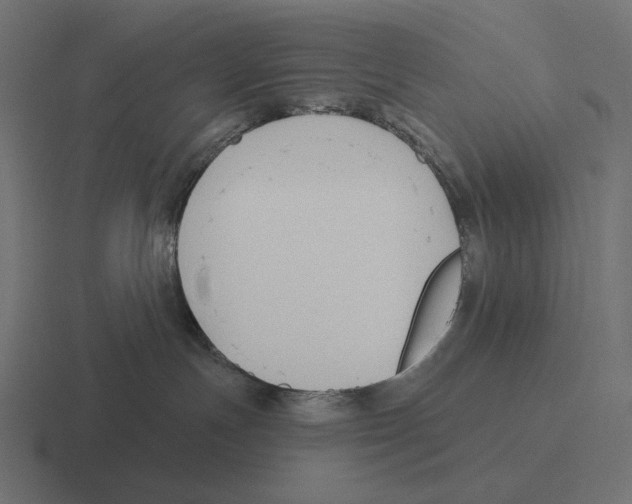 X0000116300191200912291439