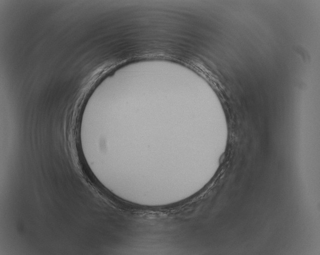 X0000116300193200912291438