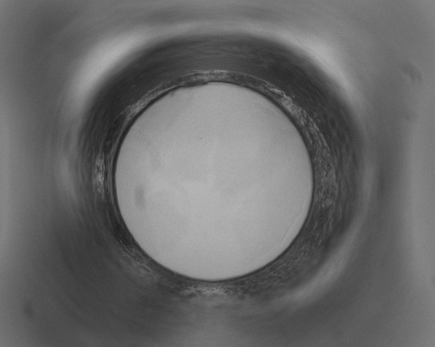 X0000116300194200912291438