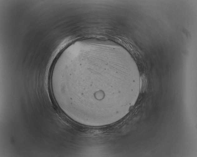 X0000116300195200912291438