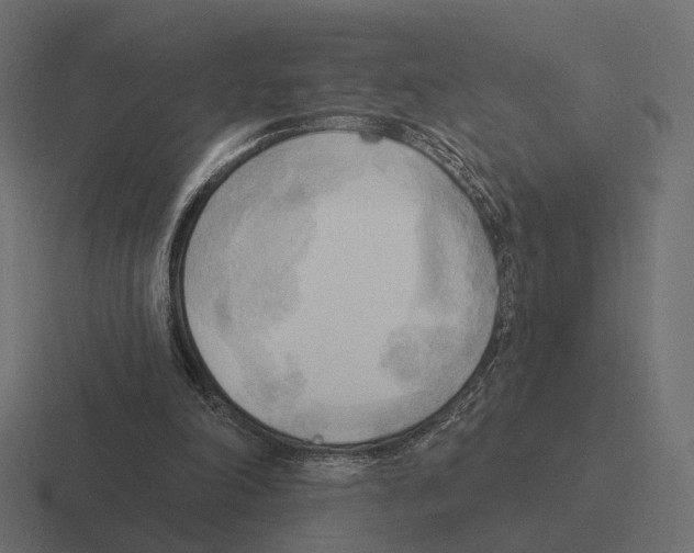 X0000116300198200912291438