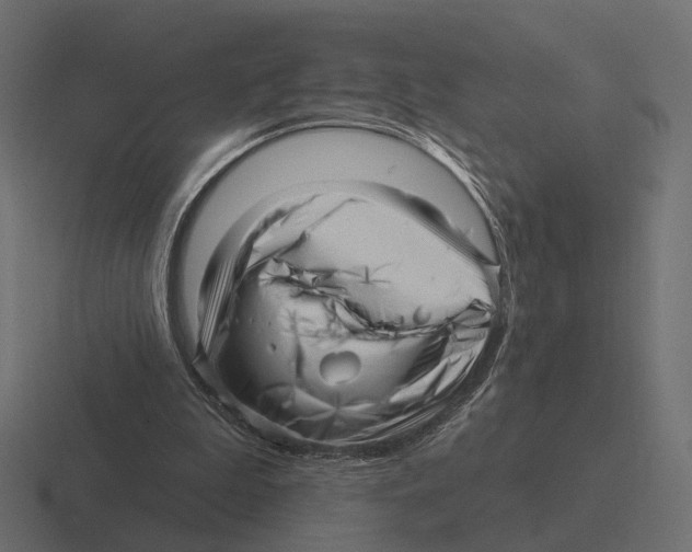 X0000116300199200912291438