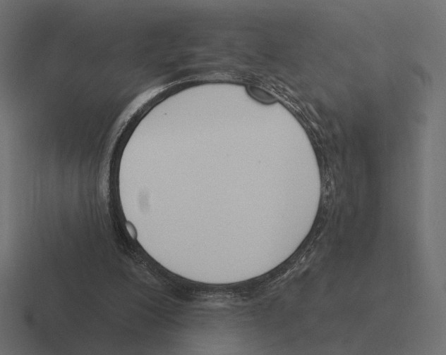 X0000116300200200912291438