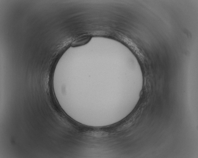 X0000116300201200912291438